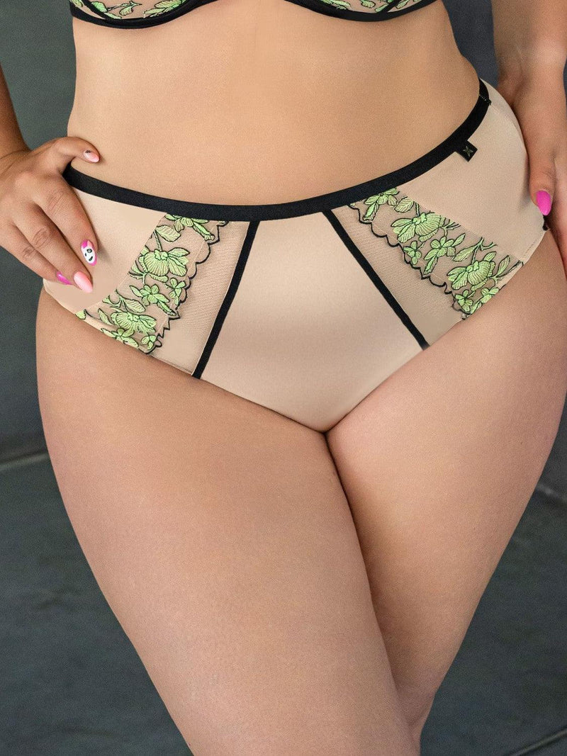 Kris Line-Lime High Waist Brief