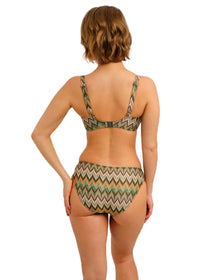 Arizona Wave Plunge Bikini Top