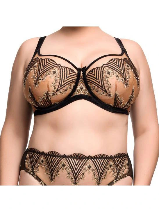 Black Fortunia Plunge Curve Bra