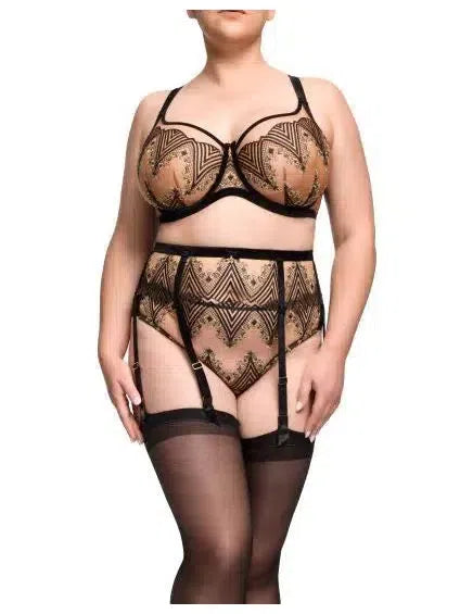 Black Fortunia Plunge Curve Bra