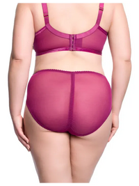 Dita Von Teese-Pinot Noir Rosewyn High Cut Brief