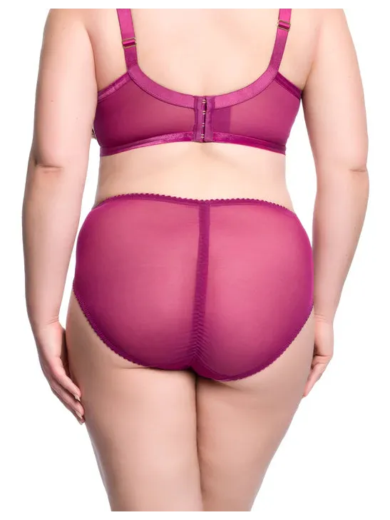 Dita Von Teese-Pinot Noir Rosewyn High Cut Brief