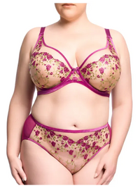 Dita Von Teese-Pinot Noir Rosewyn High Cut Brief