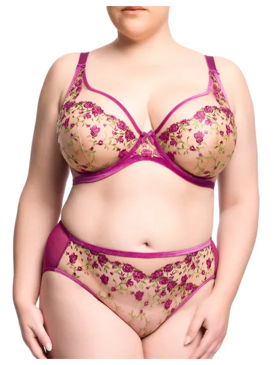 Dita Von Teese-Pinot Noir Rosewyn High Cut Brief
