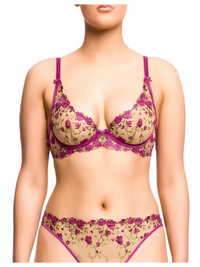 Dita Von Teese-Pinot Noir Rosewyn Plunge Bra