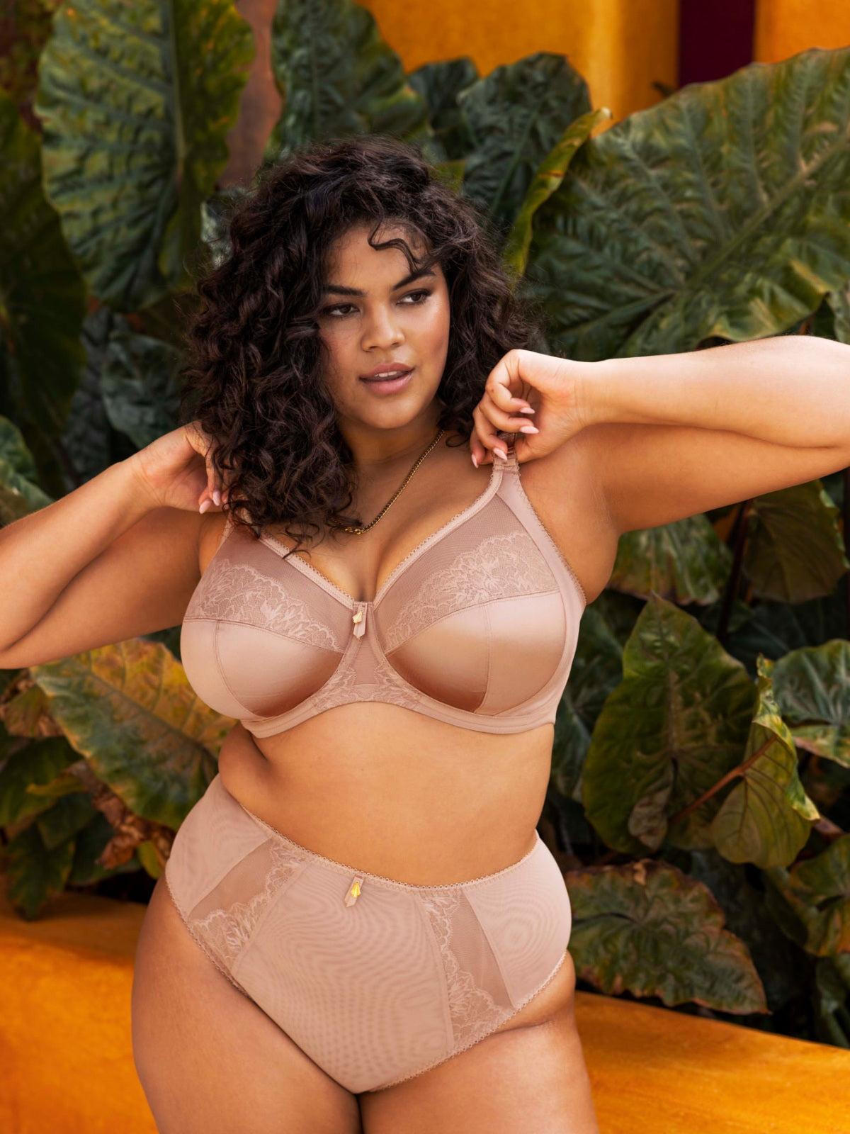 Sahara Cate Allure Full Brief