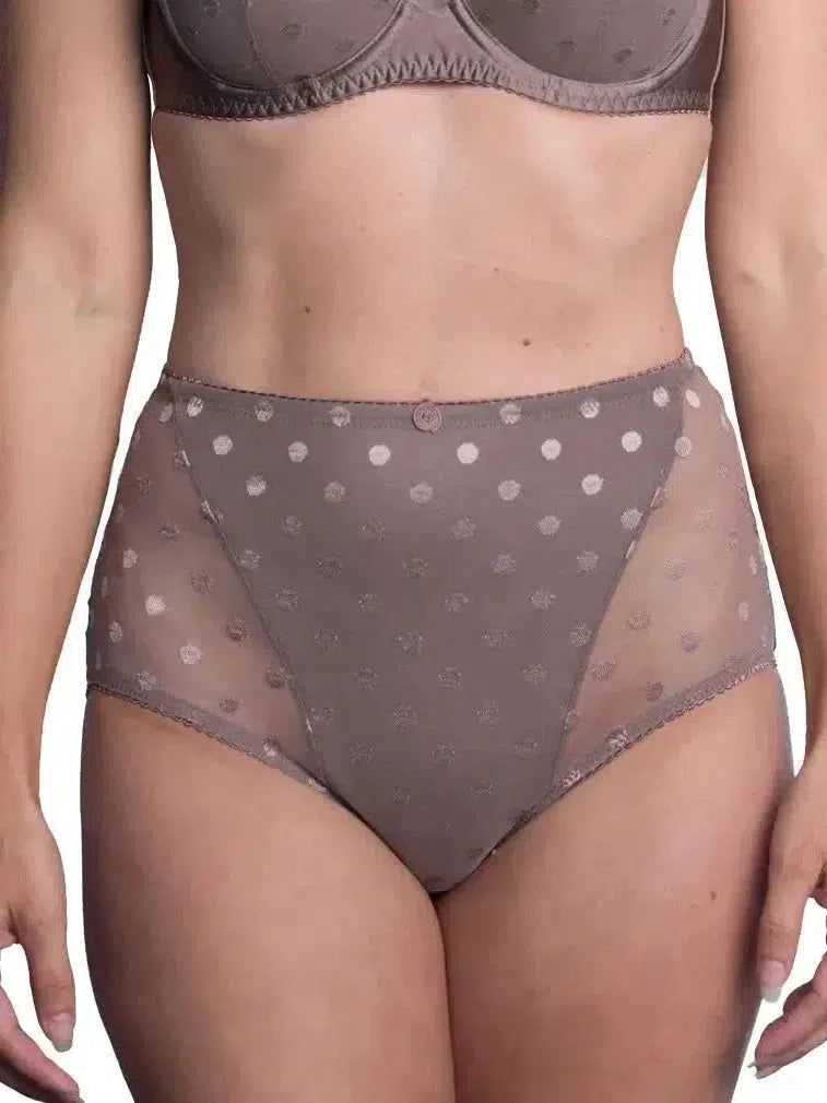 Fit Fully Yours Taupe Carmen High Rise Briefs