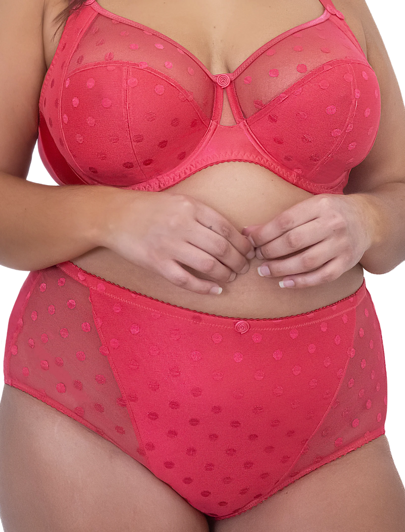 Fit Fully Yours-Teaberry Carmen High Rise Briefs