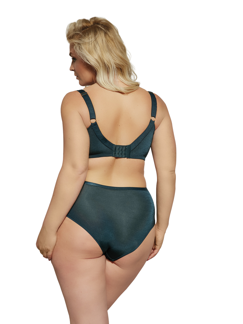 Kris Line Emerald Felice Soft Cup Bra and panty - back