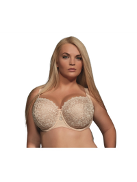 Coffee Betty Full Coverage Soft Cup Bra in Bands 30 through 40