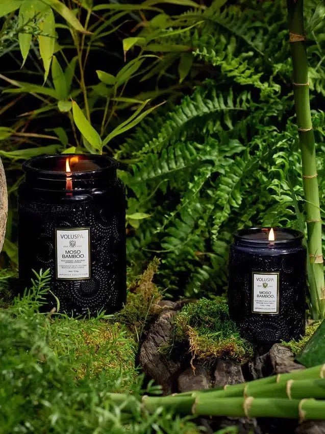 Voluspa Moso Bamboo lit candles in black jars displayed among bamboo and ferns